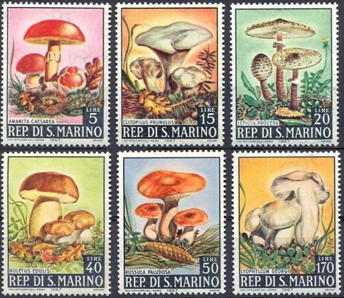 San Marino 1967. MNH F/VF. Sc#665-670. Grzyby