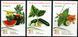 Turkey 2021. MNH XF. Fruit and vegetables