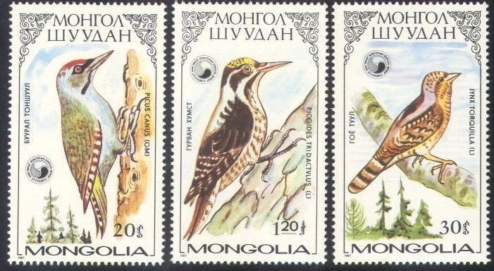 Mongolia 1987. MNH XF. Dzięcioły