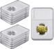 SAFE Multi Coin Slab - 18 mm