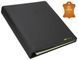 SAFE Premium Sammlerordner - Leder