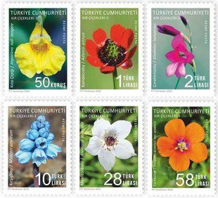 Turkey 2023. MNH XF. Wildflowers