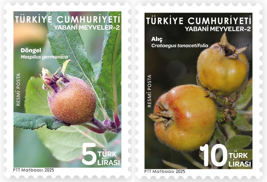 Turcja 2025. MNH XF. Dziko rosnące owoce