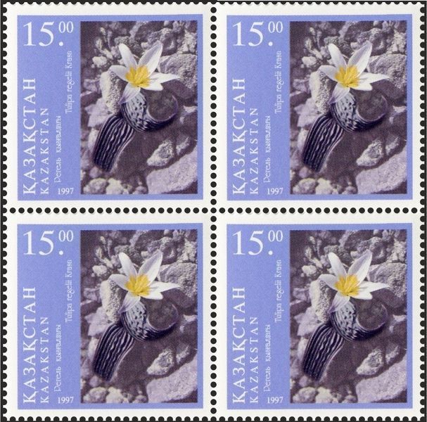 Kazakhstan 1997. MNH XF. Sc#197-199 Flowers. Types of tulips