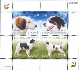 Bośnia i Hercegowina 2007. MNH XF. Sc#169 Psy